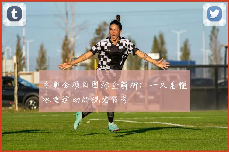 冬奥会项目图标全解析：一文看懂冰雪运动的视觉符号