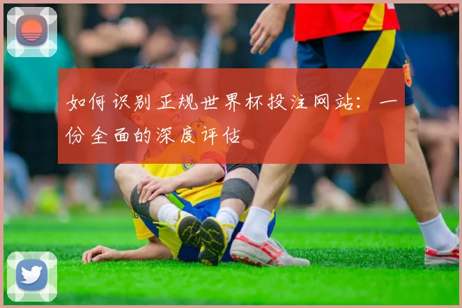 如何识别正规世界杯投注网站：一份全面的深度评估