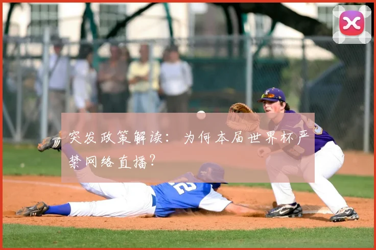 突发政策解读:为何本届世界杯严禁网络直播?