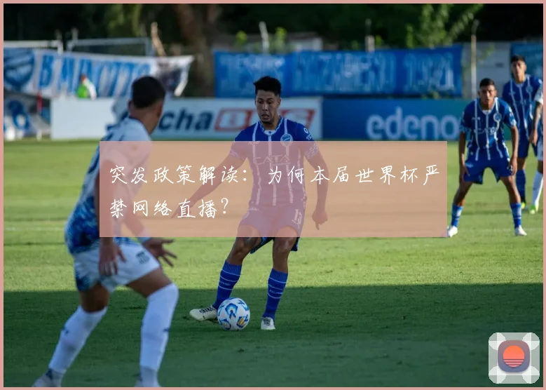突发政策解读:为何本届世界杯严禁网络直播?