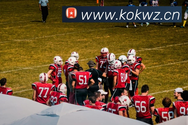 半岛官网在线登陆平台生态图